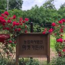 테라스카페마켓 이미지