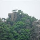 거북이동산 이미지