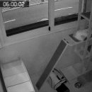 고양이 미용&호텔 뽀냥 이미지