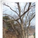 운학동 돌무지군 이미지