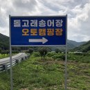 돌고래오토캠핑장2 이미지