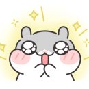 신방현대아파트 이미지