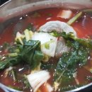 제주도야지 이미지