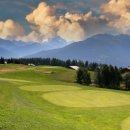 ㈜영안모자 이미지