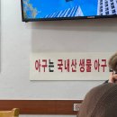 [신촌 맛집] 제철 생물 아구수육 맛집 - 강릉아구찜🐟