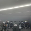 웨스트짐 헬스&PT | 강변역헬스장의 매력, 웨스트짐 헬스&amp;PT 강변역점 후기