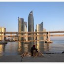 수변풍천장어 이미지