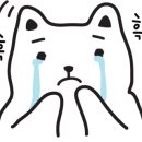 넬 동물의료센터 이미지