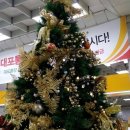 달인행정사 이미지