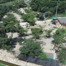 백담설화캠핑장 이미지