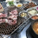 돼지영농후계자하대점