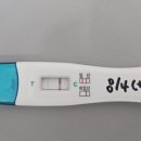 원포쓰리 | 둘째 임신 임신테스트기 후기(동아얼리, 원포, 쓰리라인 진하기비교)