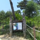 삼막5 이미지