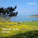 청산도봄 | 청산도 유채꽃 절정 실시간 4월 11일 리얼 후기, 배 대기줄 현실 맛집 주막·회까지