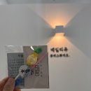 DAILY U(데일리유)
