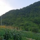 미스홍대 게스트하우스2