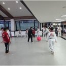 한국체대 영우태권도 | 학교체육과 함께하는 한국체대 영우태권도에서 아이들의 성장을 지켜보세요!