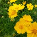 좋은세상 이미지