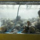 미화횟집 이미지