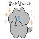 써밋렌터카 이미지
