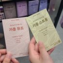 [무료 퍼스널컬러 진단] 올리브영 퍼스널컬러 진단기 후기 │ 가을뮤트 Tip