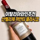 끼안티 | 이탈리아와인추천 한강 데이트에서 마신 산펠리체 끼안티 클라시코 솔직 후기