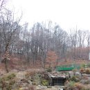 숲속바다펜션민박 이미지