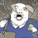 오롯이오늘 이미지
