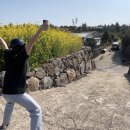 하일리 제주 | [제주 숙소 추천] 애월 독채 풀빌라 펜션 하일리제주 highly jeju(+ 반신욕스파/ 시설 /가격)