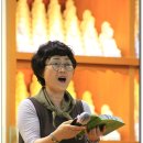 한국초재 이미지