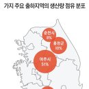 오토킹주