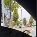썬팅이 너무 어둡다는 테슬라 카페 회원 이미지