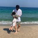 아야진졸음쉼터 이미지