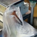 두리 | [강릉맛집] 강릉중앙시장먹거리 추천 오징어순대&amp;육전 두리튀김 후기