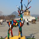 인앤박 외국어번역 행정사사무소 이미지