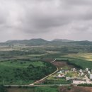 어라운드폴리 이미지