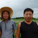 흥부농장 이미지