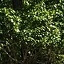 김한의원 이미지