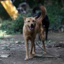 화진농장 이미지