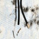 아리아세차 이미지