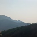 산수화농장 이미지