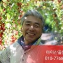 마이산골힐링팜