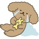 견생냥품무인24시김포
