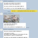 장미파크 | 스윗비비안나 본식부케 비추천 후기(내돈내산 고르키파크 장미 부케,본식 후 10퍼환불받음)