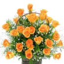 꽃과사람들 이미지