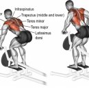 짐프릭 정자시장점 이미지