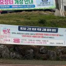 버스정류장-공설운동장 | 고창벚꽃축제 04.05 방문후기 상세정보 및 음식추천 벚꽃명소