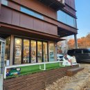 하우에버 포우에버 | [헤이리마을]하우에버포우에버: 강아지계의 귀여운 소품샵st