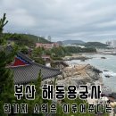 해동용궁사 | 한가지 소원은 이루어준다는 부산 기장 가볼만한 곳 해동용궁사 방문후기