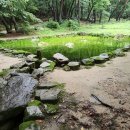 영지식당 이미지